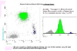 Image no. 1 for anti-CD14 (CD14) antibody (ABIN1112060) (CD14 antibody)