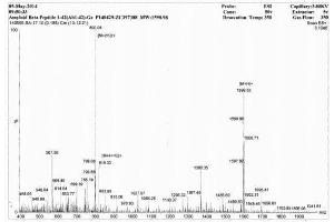 Image no. 2 for Amyloid beta 1-42 (Abeta 1-42) peptide (Ovalbumin) (ABIN5666073) (Amyloid beta 1-42 (Abeta 1-42) peptide (Ovalbumin))