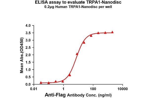 TRPA1 Protein