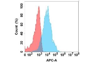 Flow cytometry analysis with Anti-CRTAM on Expi293 cells transfected with human CRTAM (Blue histogram) or Expi293 transfected with irrelevant protein (Red histogram). (CRTAM antibody)