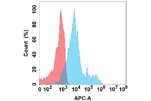 Flow cytometry analysis with Anti- on Expi293 cells transfected with human (Blue histogram) or Expi293 transfected with irrelevant protein (Red histogram). (CCR4 antibody)