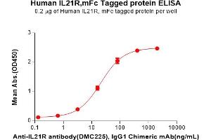 ELISA plate pre-coated by 2 μg/mL (100 μL/well) Human IL21R Protein, mFc Tag(ABIN7092744, ABIN7272296 and ABIN7272297) can bind Anti-IL21R antibody, IgG1 Chimeric mAb in a linear range of 3. (IL21 Receptor Protein (AA 20-232) (mFc Tag))