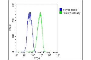 Flow Cytometry (FACS) image for anti-BRCA1 Associated Protein-1 (Ubiquitin Carboxy-terminal Hydrolase) (BAP1) (AA 36-66) antibody (ABIN388948)