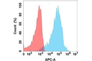 Flow cytometry analysis with Anti-PGF (DM190) on Expi293 cells transfected with human PGF (Blue histogram) or Expi293 transfected with irrelevant protein (Red histogram). (PLGF antibody)