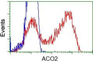 Image no. 1 for anti-Aconitase 2, Mitochondrial (ACO2) antibody (ABIN1496409) (ACO2 Antikörper)