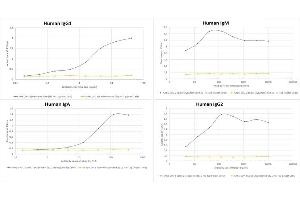 Binding curve of four different formats of anti-COVID-19 & SARS-CoV S glycoprotein antibody CR3022 (ABIN6952546) to SARS-CoV-2 Spike Glycoprotein domains S1 and S2 (His-Tag (Insect Cells)). (Recombinant SARS-CoV-2 Spike S1 antibody  (RBD))