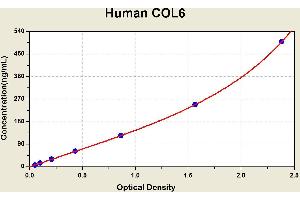 Diagramm of the ELISA kit to detect Human COL6with the optical density on the x-axis and the concentration on the y-axis. (COL6 ELISA Kit)