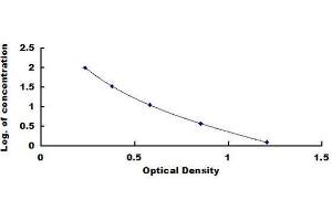 Typical standard curve (INHBE ELISA Kit)