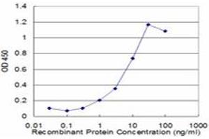 PGAM1 antibody  (AA 1-254)