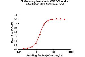 Elisa plates were pre-coated with Flag Tag -Nanodisc (0. (CCR6 Protein)