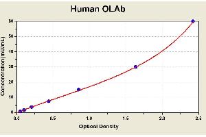 Diagramm of the ELISA kit to detect Human OLAbwith the optical density on the x-axis and the concentration on the y-axis. (Anti-Oxidized Low Density Lipoprotein Antibody ELISA Kit)