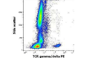 Flow cytometry surface staining pattern of human peripheral whole blood stained using anti-human TCR gamma/delta (11F2) PE antibody (10 μL reagent / 100 μL of peripheral whole blood). (TCR gamma/delta antibody  (PE))