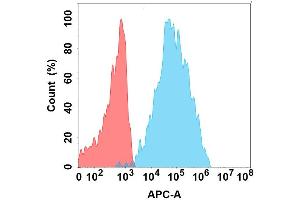 Flow cytometry analysis with Anti-SL on Expi293 cells transfected with human SL (Blue histogram) or Expi293 transfected with irrelevant protein (Red histogram). (CD84 antibody)