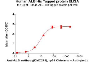ELISA plate pre-coated by 2 μg/mL (100 μL/well) Human ALB Protein, His Tag(ABIN7092748, ABIN7272304 and ABIN7272305) can bind Anti-ALB antibody, IgG1 Chimeric mAb in a linear range of 3. (Albumin Protein (ALB) (AA 25-609) (His tag))