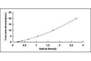 ELISA image for Collagen, Type III (COL3) ELISA Kit (ABIN416375) (COL3 ELISA Kit)