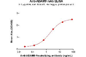 ELISA plate pre-coated by 1 μg/mL (100 μL/well) Human A protein, His Tag ABIN6964219, ABIN7042673 and ABIN7042674 can bind Anti-A Neutralizing antibody (ABIN7093080 and ABIN7272610) in a linear range of 0. (Recombinant ADAM9 antibody)