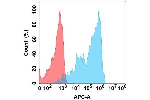 Flow cytometry analysis with Anti-CD162 on Expi293 cells transfected with human CD162 (Blue histogram) or Expi293 transfected with irrelevant protein (Red histogram). (SELPLG antibody)