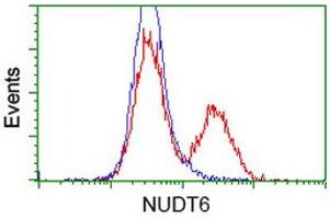 Flow Cytometry (FACS) image for anti-Nudix (Nucleoside Diphosphate Linked Moiety X)-Type Motif 6 (NUDT6) antibody (ABIN1499870) (NUDT6 antibody)