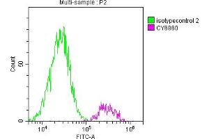 Flow Cytometry (FACS) image for anti-Succinate Dehydrogenase Complex, Subunit B, Iron Sulfur (Ip) (SDHB) antibody (ABIN7127803)