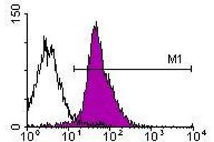 Image no. 1 for anti-Integrin alpha-L (ITGAL) antibody (Biotin) (ABIN135126) (ITGAL antibody  (Biotin))