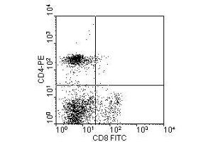 Image no. 1 for anti-CD4 (CD4) antibody (PE) (ABIN135475) (CD4 antibody  (PE))