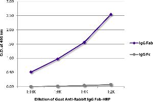 ELISA image for Goat anti-Rabbit IgG (Fab Region) antibody (ABIN376930)