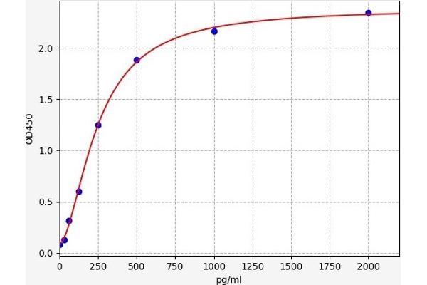 Caspase 6 ELISA Kit