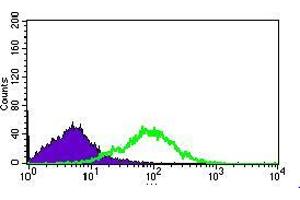 Flow Cytometry (FACS) image for anti-Mitochondrial Ribosomal Protein L42 (MRPL42) (AA 10-142) antibody (ABIN1724818)