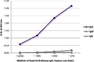 ELISA plate was coated with purified mouse IgG, IgM, and IgA. (Goat anti-Mouse IgG Antibody (beta-Gal))