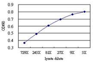 Sandwich ELISA detection sensitivity ranging from approximately 729x to 3x dilution of the NELL1 293T overexpression lysate (non-denatured). (NELL1 (Human) Matched Antibody Pair)