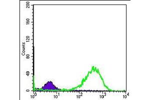 Flow Cytometry (FACS) image for anti-Heat Shock 60kDa Protein 1 (Chaperonin) (HSPD1) antibody (ABIN969200)