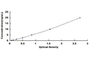 Typical standard curve (Leptin ELISA Kit)