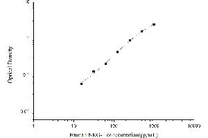 Typical standard curve (Neuregulin 1 ELISA Kit)