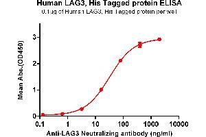 ELISA plate pre-coated by 1 μg/mL (100 μL/well) Human , His tagged protein (ABIN6964105, ABIN7042465 and ABIN7042466) can bind Anti- Neutralizing antibody ABIN7093078 and ABIN7272608 in a linear range of 16-80 ng/mL. (LAG3 Protein (AA 23-245) (His tag))