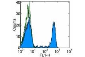 Image no. 1 for anti-CD8a Molecule (CD8A) antibody (FITC) (ABIN475708) (CD8 alpha antibody  (FITC))