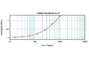 Image no. 2 for anti-Interleukin 17A (IL17A) antibody (ABIN465353) (Interleukin 17a antibody)