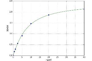 A typical standard curve (Prokineticin Receptor 1 ELISA Kit)