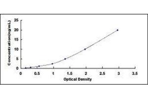 ELISA image for Annexin A1 (ANXA1) ELISA Kit (ABIN6574319)