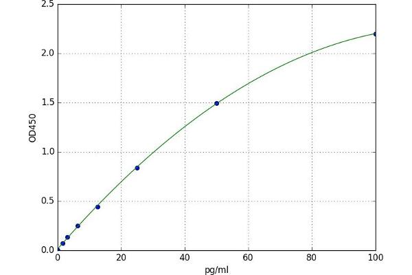 Endothelin 3 ELISA Kit