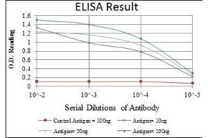 ELISA image for anti-Eukaryotic Translation Initiation Factor 4E (EIF4E) antibody (ABIN969094)