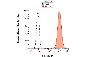 Flow cytometry analysis (surface staining) of HUT-78 and K562 cell lines with anti-human CD70 (Ki-24) PE. (CD70 antibody  (PE))