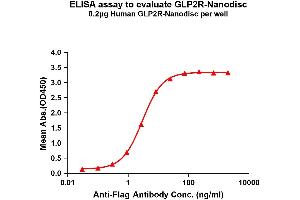 Elisa plates were pre-coated with Flag Tag R-Nanodisc (0. (GLP2R Protein)