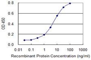 Detection limit for recombinant GST tagged ZNF281 is 0. (ZNF281 antibody  (AA 787-893))