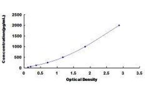 ELISA image for Transforming Growth Factor, beta 2 (TGFB2) ELISA Kit (ABIN414725) (TGFB2 ELISA Kit)