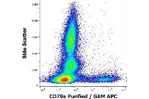 Flow cytometry surface staining pattern of human peripheral whole blood stained using anti-human CD79a (ZL7/4) purified antibody (concentration in sample 5 μg/mL, GAM APC). (CD79a antibody)