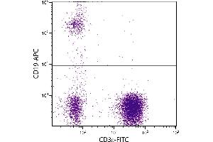 Human peripheral blood lymphocytes were stained with Mouse Anti-Human CD19-APC. (CD19 antibody  (APC))