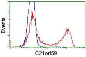 Flow Cytometry (FACS) image for anti-Chromosome 21 Open Reading Frame 59 (C21orf59) antibody (ABIN1497043) (C21orf59 antibody)