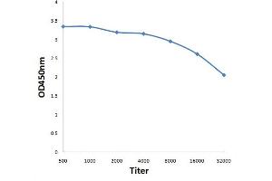 Antigen: 0. (JunD antibody  (pSer255))