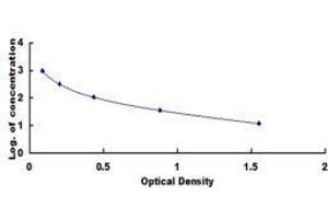 ELISA image for Cholecystokinin 18 (CCK18) ELISA Kit (ABIN1873487) (CCK18 ELISA Kit)