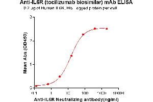 ELISA plate pre-coated by 2 μg/mL (100 μL/well) Human IL6R, His tagged protein ABIN6964085, ABIN7042425 and ABIN7042426 can bind Anti-IL6R Neutralizing antibody (ABIN7093060 and ABIN7272590) in a linear range of 0. (Recombinant IL-6R (Tocilizumab Biosimilar) antibody)